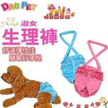 【🐱🐶培菓寵物48H出貨🐰🐹】DAB PET》淑女型生理褲S-XL號 (極致舒適 ) 特價188元