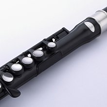 §唐川音樂§ 【英國 Nuvo Student Flute 完整功能的塑膠長笛】