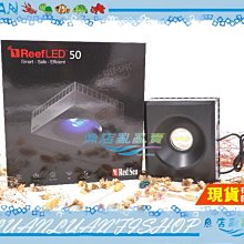 【魚店亂亂賣】Red Sea紅海REEF LED智能海水燈具50W(不含腳架)R-35110以色列