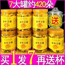 【黃茶】【買1發7】金絲皇菊花茶大朵一朵一杯非婺源徽州大黃菊花茶散裝茶葉 福鼎茶莊