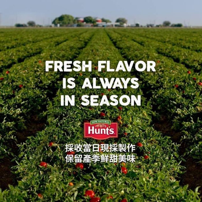 Hunt's 漢斯 非基改 猶太潔食 蕃茄糊 170g 蕃茄配司 tomato paste 素食 蕃茄膏 罐頭 番茄