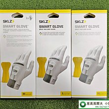[小鷹小舖] SKLZ Golf 高爾夫 智慧手套 男仕 手背設置有可拆卸剛性手腕導軌 校正手部正確姿勢 23 NEW