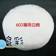 台北►►多彩水族◄◄台灣製《森森 603 專用白棉 / 3片入》 特A級 白棉，過濾棉、替換棉、前置桶_動力桶 皆適用