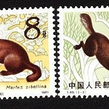 (2 _ 2)~大陸T字郵票--T068--紫貂--- 2 全---陸1982年