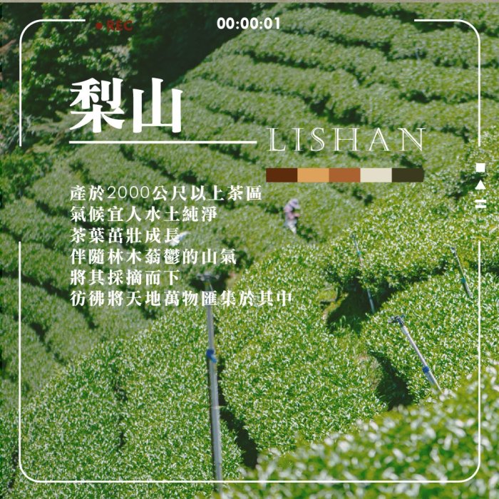 【名池茶業】甘逸飄香 梨山 烏龍茶 青茶 茶葉 台灣茶 高山茶 (150gx2罐) 贈同款提袋x1