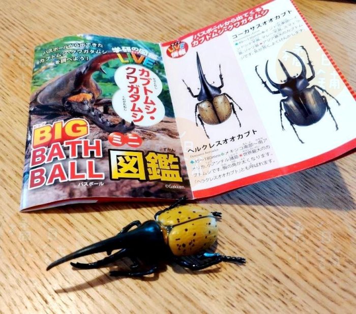 【老爹正品】日本進口 甲蟲 圖鑑 BIG 入浴球 加大版 沐浴球 澡球 Gakken 學研 昆蟲 獨角仙 兜蟲