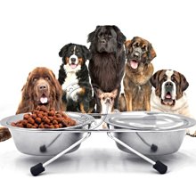 【🐱🐶培菓寵物48H出貨🐰🐹】狗體工學》Dyy寵物犬貓不銹鋼食碗雙碗附支架13cm特價149元