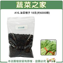 【蔬菜之家滿額免運】A16.油菜種子18克(約6000顆)(花苔可食，葉色濃綠.蔬菜種子)