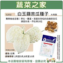 【蔬菜之家滿額免運】大包裝G202.白玉蘋苦瓜種子9顆 專業栽培品種 早生，豐產，果面珍珠粒的白蘋果苦瓜