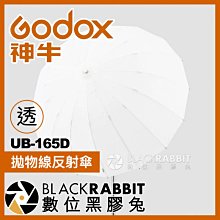 數位黑膠兔【 Godox 神牛 D4 UB-165D 拋物線反射傘 透光 直徑165公分】 攝影棚 人像 攝影傘 棚燈