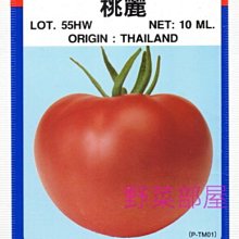 【野菜部屋~】L26日本桃麗蕃茄種子3粒 , 夏秋中早生品種 , 耐存放 , 每包15元 ~