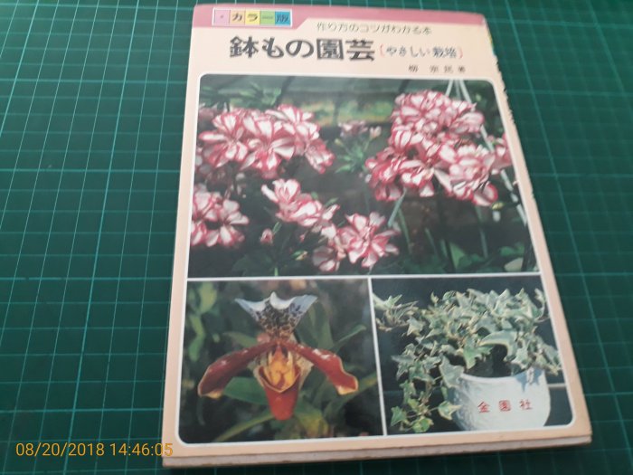 日文版《 鉢もの園藝 》柳 宗民著 金園社  【CS 超聖文化讚】