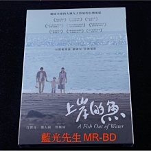[DVD] - 上岸的魚 A Fish Out of Water ( 得利公司貨 )