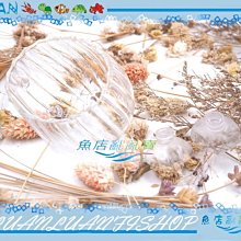 【~魚店亂亂賣~】LUAN精製(貝殼型)超厚超白玻璃育景杯/水草飼育造景盆(缸內型)水草杯