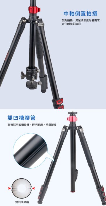 卡宴 Cayer FP2450G3 含G3球型雲台 鋁合金 可反折 三腳架套裝 最高 190cm 【公司貨】附腳釘