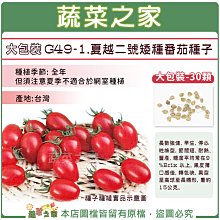 【蔬菜之家滿額免運】大包裝G49-1.夏越二號矮種番茄種子30顆//番茄種子,番茄,小番茄,蔬果種子※不適用郵寄