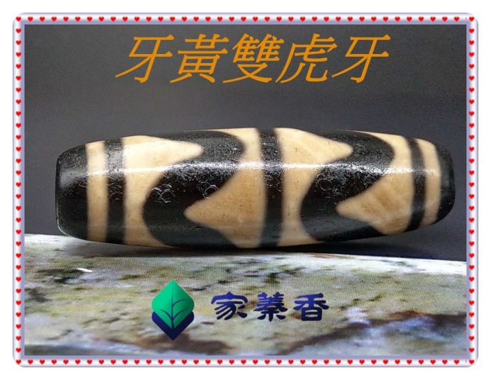 【家蓁香】 西藏老礦 純天然 風化 馬蹄紋  『48*14mm』 精品老件牙黃雙虎牙天珠 男女款項鏈(05)