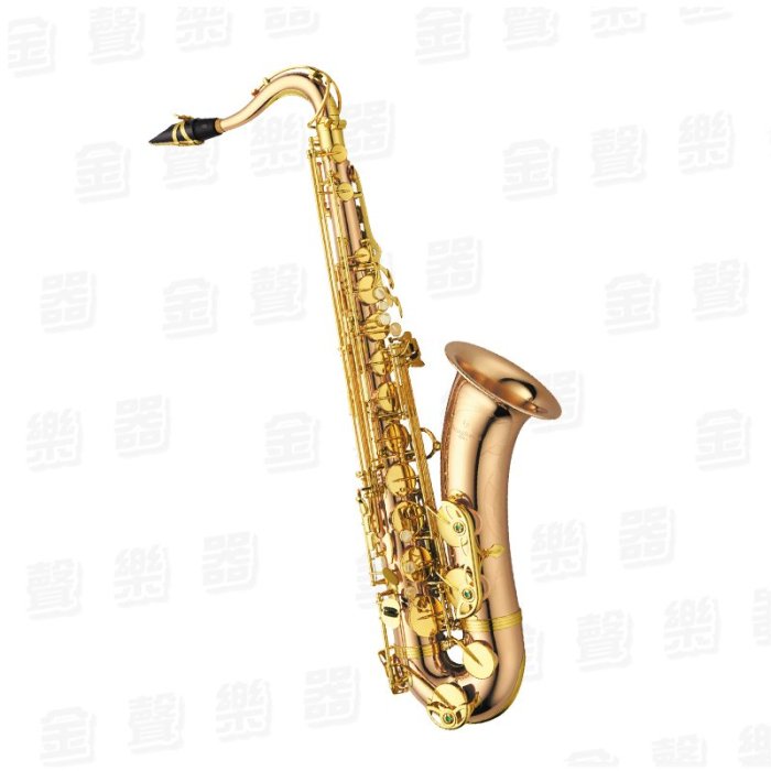 【金聲樂器】日本製 YANAGISAWA T-WO2 Bb Tenor Sax 柳澤 次中音薩克斯風 T-WO2