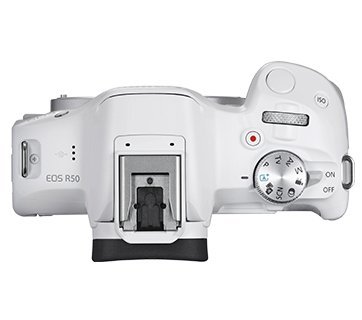 Canon EOS R50 單機身〔不含鏡頭〕APS-C 公司貨【回函贈禮~2024/5/31止】