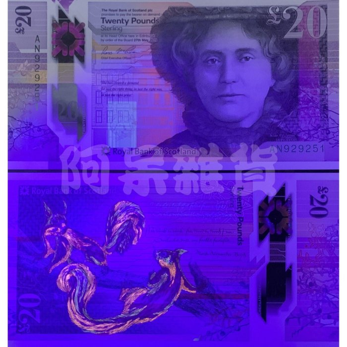 森羅本舖 現貨實拍 精美鈔 蘇格蘭 2019年 20鎊 塑料鈔 皇家銀行 現維爾 松鼠 鈔票 鈔 外幣 非現行流通貨幣