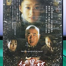 影音大批發-S05-007-正版DVD-大陸劇【紅墨坊／共6片32集】-許晴 陳建斌 張國立 馬蘇(直購價)