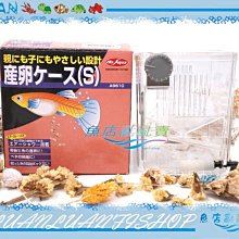 【魚店亂亂賣】MR.AQUA日本孔雀繁殖箱S產卵盒、隔離、飼育(SB-1)Q-17-1水族先生