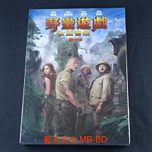 [DVD] - 野蠻遊戲：全面晉級 Jumanji : The Next Level ( 得利正版 )