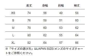 日貨代購CITY】THE NORTH FACE RAGE GTX Shell Jacket 外套NP11961