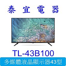 【本月特價】CHIMEI奇美 TL-43B100 多媒體液晶顯示器43型 【另有TL-43A900／TL-43G100】