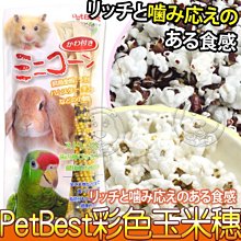 【🐱🐶培菓寵物48H出貨🐰🐹】Pet Best》PM-S417寵物鼠彩色玉米穗3支入1包 特價220元自取不打折