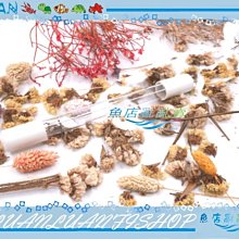 【~魚店亂亂賣~】阿姆斯壯ASTRO沉水殺菌燈8W(替換燈管)殺菌.抑制藻類(淡、海水缸皆可)