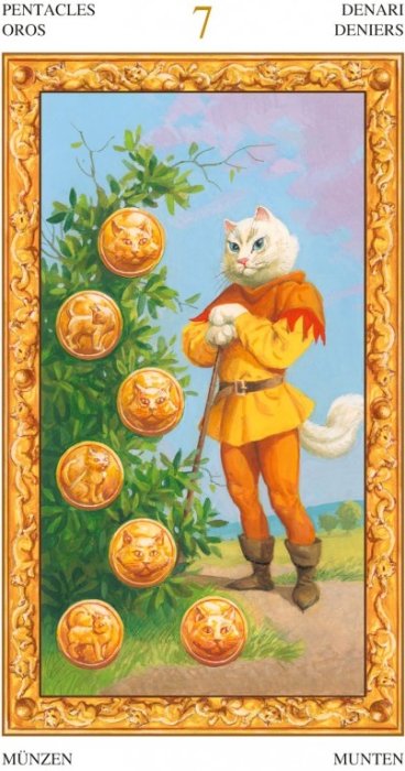 ~"魔幻的心靈世界"~~白貓塔羅牌Tarot of White Cats