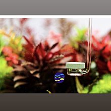 微笑的魚水族☆韓國NEO ＡＩＲ溶氧（Ｌ）綠色 空氣馬達適用　氣泡石．奈米雪餅．空氣細化器