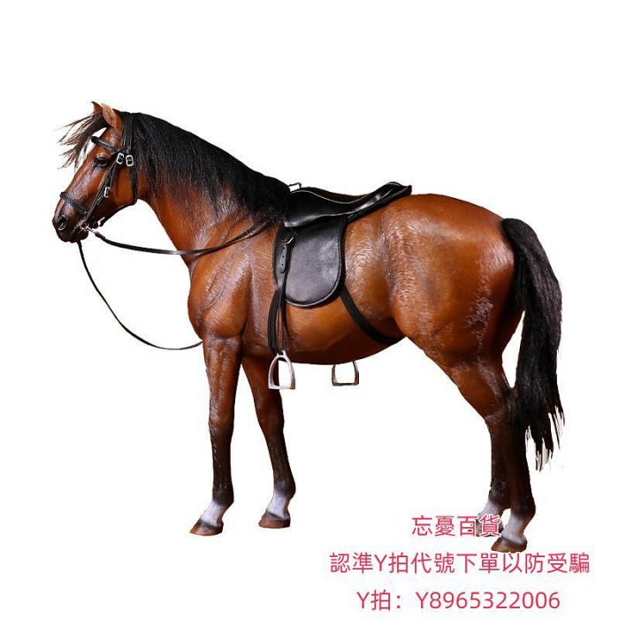 仿真模型Mr.Z1/6漢諾威溫血馬仿真動物模型高檔mrz馬模型駿馬擺件兵人坐騎