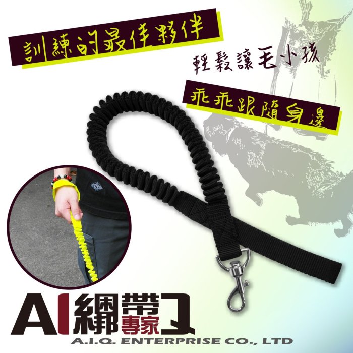 A.I.Q.綑綁帶專家- LT23131 彈性伸縮狗牽繩  黑色 19mm x 80~150cm (中型犬專用)