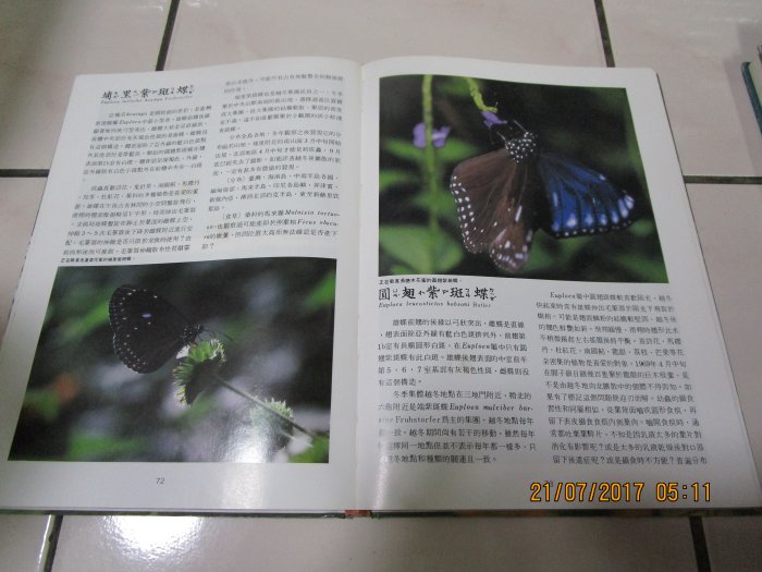 典藏時代--自然科學-書如照片---台灣的蝴蝶  共1本 lohua HH