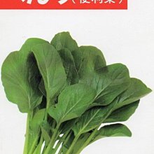 【野菜部屋~】E24 日本便利菜種子1.8公克 , 全年可種 , 生長快速 , 每包15元~