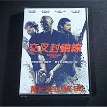 [DVD] - 交叉封鎖線 Crossing Point ( 得利公司貨 )