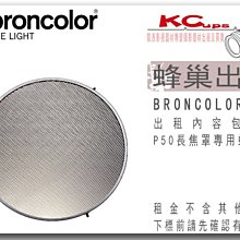 凱西影視器材 BRONCOLOR 原廠 P50 長焦罩蜂巢 出租 適用 棚燈 外拍燈 電筒燈