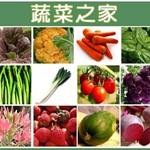 【蔬菜之家滿額免運】蔬菜花草種子總匯400種以上(全面每包13元.滿額免運費)