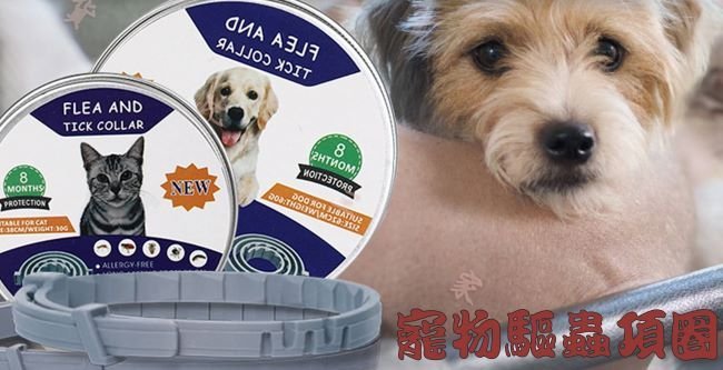 寵物驅蟲項圈 防蚊蟲蝨子 除跳蚤 貓犬通用 寵物項圈 狗狗防蚊蟲項圈 貓咪防蚊蟲項圈 驅蟲 防蚊蟲 虱子 防蚊 驅蚊