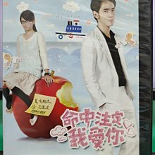 影音大批發-S45-013-正版DVD-台劇【命中注定我愛你／共11片24集】-(直購價)