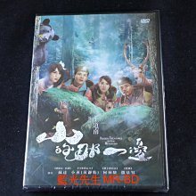 [DVD] - 山的那一邊 Hidden Treasures in the Mountain ( 飛行正版 )