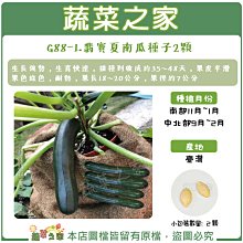 【蔬菜之家滿額免運】G88-1.翡寶夏南瓜種子(綠櫛瓜.節瓜.嫩南瓜.美國南瓜) 2顆 生長強勢，生育快速，果皮平滑