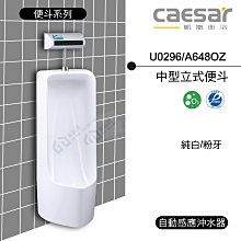 附發票 含稅 CAESAR凱撒 中型立式便斗U0296/A648OZ 純白/粉牙 《中部免運》【東益氏】