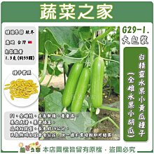 【蔬菜之家滿額免運】大包裝G29-1.白精靈水果小黃瓜種子1.3克(約55顆)全雌水果小胡瓜※不適用郵寄掛號配送