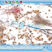 【~魚店亂亂賣~】日本NISSO尼索NAA-292長柄三角撈網/魚網/蝦網49.5cm(細目)淡、海水用(單支)