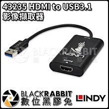 數位黑膠兔【 LINDY 林帝 43235 HDMI to USB3.1 影像擷取器 】 直播 擷取卡