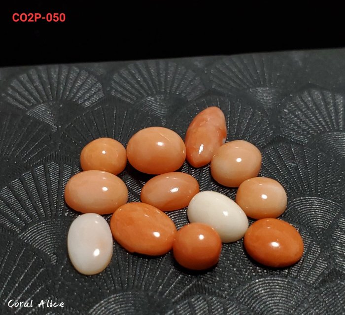 🌟Coral珊寶手作-天然珊瑚造型裸石(深水/淺水/momo/白珊瑚) CO2P1-050