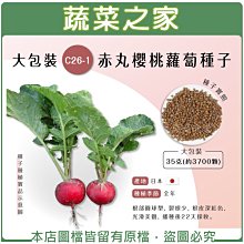 【蔬菜之家滿額免運00C26-1】大包裝.赤丸櫻桃蘿蔔種子35克(約3700顆) ※不適用郵寄掛號配送※